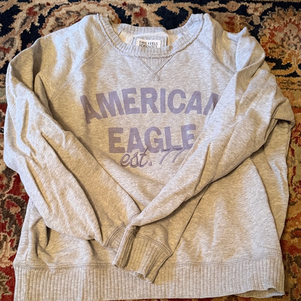 American Eagle Outfitters Light Gray Women's Crew Neck Sweater